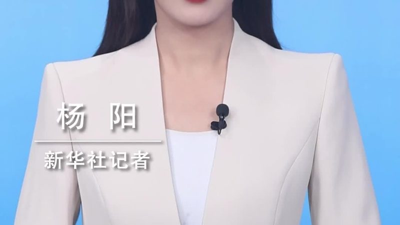 中小企业数据治理平台：构建数据驱动决策的未来